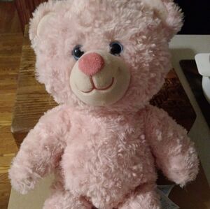 Pink Teddy Bear Plush Toy